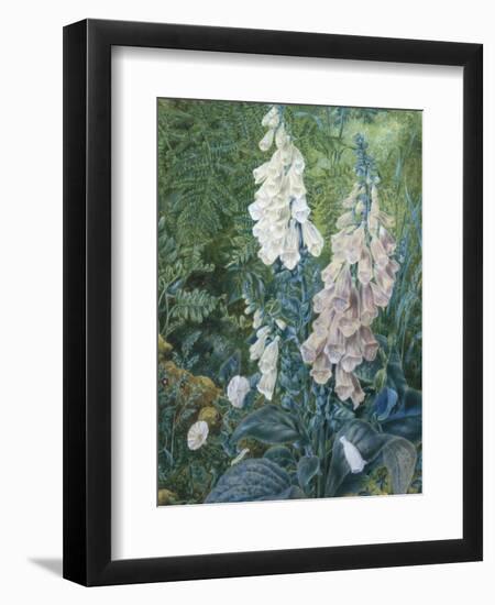 Still Life of Foxgloves-Mary Margetts-Framed Giclee Print