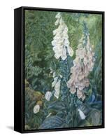 Still Life of Foxgloves-Mary Margetts-Framed Stretched Canvas