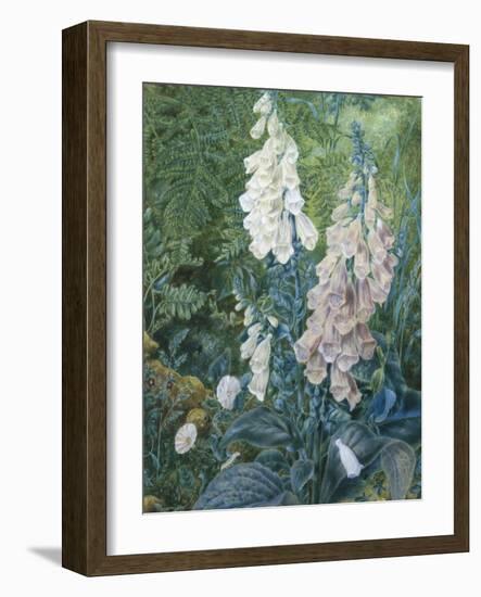 Still Life of Foxgloves-Mary Margetts-Framed Giclee Print