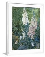 Still Life of Foxgloves-Mary Margetts-Framed Giclee Print