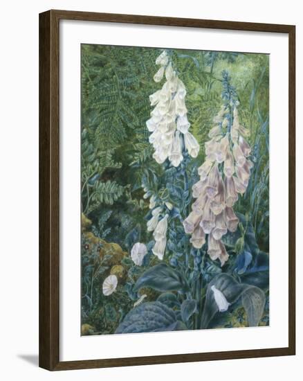 Still Life of Foxgloves-Mary Margetts-Framed Giclee Print