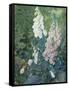 Still Life of Foxgloves-Mary Margetts-Framed Stretched Canvas