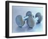 Still Life of Free Weights-Chris Trotman-Framed Photographic Print