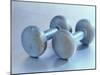 Still Life of Free Weights-Chris Trotman-Mounted Photographic Print