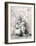 Still Life of Fruit, (1700-1749)-Jan van Huysum-Framed Giclee Print