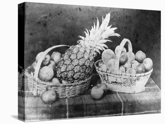 Still Life of Fruit, 1844-null-Stretched Canvas