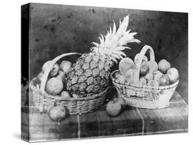 Still Life of Fruit, 1844-null-Stretched Canvas