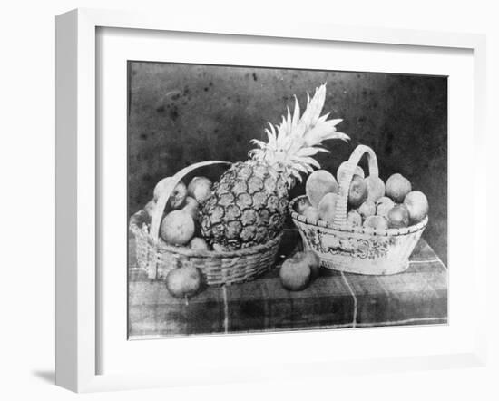 Still Life of Fruit, 1844-null-Framed Premium Photographic Print