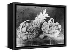 Still Life of Fruit, 1844-null-Framed Stretched Canvas