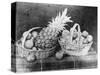 Still Life of Fruit, 1844-null-Stretched Canvas