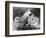 Still Life of Fruit, 1844-null-Framed Photographic Print