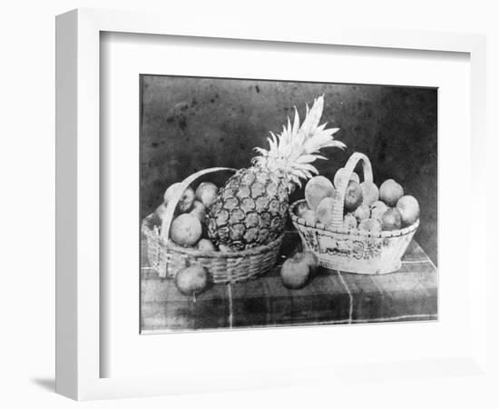 Still Life of Fruit, 1844-null-Framed Photographic Print