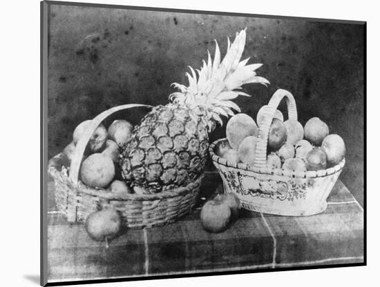 Still Life of Fruit, 1844-null-Mounted Photographic Print