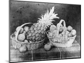 Still Life of Fruit, 1844-null-Mounted Photographic Print