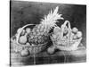 Still Life of Fruit, 1844-null-Stretched Canvas