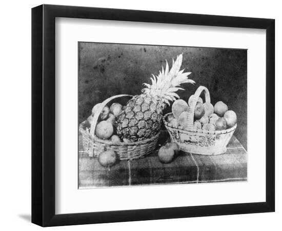 Premium Photographic Print, , large