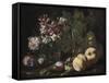 Still Life of Fruit and Flowers, 1670-80 (Oil on Canvas)-Abraham Brueghel-Framed Stretched Canvas