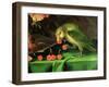 Still Life of Fruit and Flowers, Detail of a Parrot (Detail)-Jan Davidsz. de Heem-Framed Giclee Print