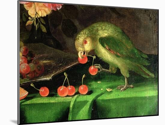 Still Life of Fruit and Flowers, Detail of a Parrot (Detail)-Jan Davidsz. de Heem-Mounted Giclee Print