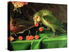 Still Life of Fruit and Flowers, Detail of a Parrot (Detail)-Jan Davidsz. de Heem-Stretched Canvas