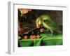 Still Life of Fruit and Flowers, Detail of a Parrot (Detail)-Jan Davidsz. de Heem-Framed Premium Giclee Print
