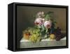 Still Life of Fruit and Flowers-Erdmann Schultz-Framed Stretched Canvas