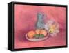 Still Life of Fruit and Jug-Joyce Haddon-Framed Stretched Canvas