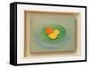 Still Life of Fruit Bowl-Jasper Galloway-Framed Stretched Canvas