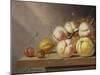 Still Life of Fruit on a Ledge (Panel)-Harmen van Steenwyck-Mounted Giclee Print