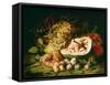 Still Life of Fruit on a Ledge-Frans Snyders-Framed Stretched Canvas