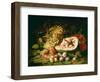 Still Life of Fruit on a Ledge-Frans Snyders-Framed Giclee Print