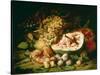 Still Life of Fruit on a Ledge-Frans Snyders-Stretched Canvas