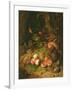 Still Life of Fruit with a Bird's Nest and Insects, 1710-Rachel Ruysch-Framed Giclee Print