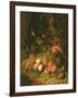 Still Life of Fruit with a Bird's Nest and Insects, 1710-Rachel Ruysch-Framed Giclee Print