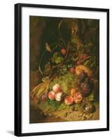 Still Life of Fruit with a Bird's Nest and Insects, 1710-Rachel Ruysch-Framed Giclee Print
