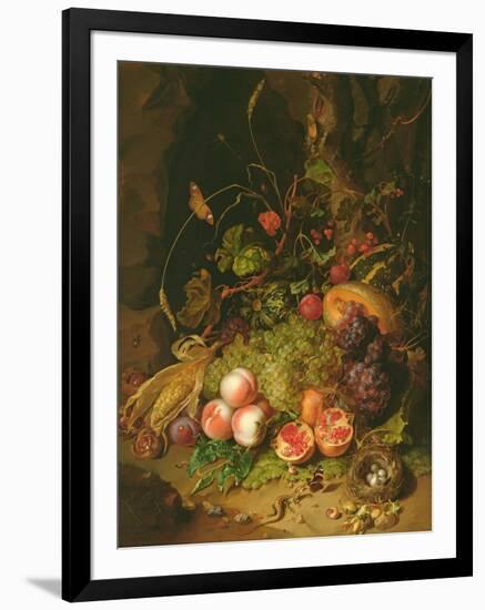 Still Life of Fruit with a Bird's Nest and Insects, 1710-Rachel Ruysch-Framed Giclee Print