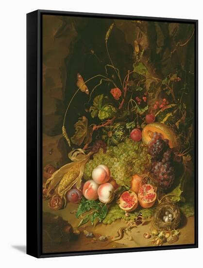 Still Life of Fruit with a Bird's Nest and Insects, 1710-Rachel Ruysch-Framed Stretched Canvas
