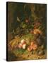 Still Life of Fruit with a Bird's Nest and Insects, 1710-Rachel Ruysch-Stretched Canvas