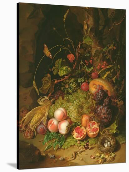 Still Life of Fruit with a Bird's Nest and Insects, 1710-Rachel Ruysch-Stretched Canvas
