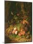 Still Life of Fruit with a Bird's Nest and Insects, 1710-Rachel Ruysch-Mounted Premium Giclee Print