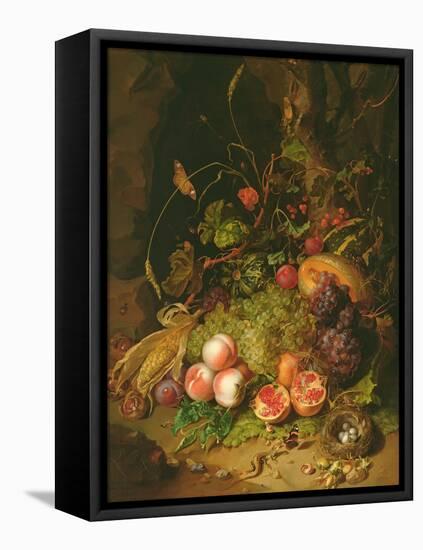 Still Life of Fruit with a Bird's Nest and Insects, 1710-Rachel Ruysch-Framed Stretched Canvas