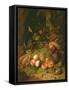 Still Life of Fruit with a Bird's Nest and Insects, 1710-Rachel Ruysch-Framed Stretched Canvas