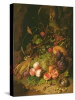 Still Life of Fruit with a Bird's Nest and Insects, 1710-Rachel Ruysch-Stretched Canvas