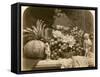 Still Life of Fruit with Mirror and Figurines, 1860-Roger Fenton-Framed Stretched Canvas