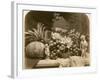 Still Life of Fruit with Mirror and Figurines, 1860-Roger Fenton-Framed Photographic Print