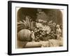 Still Life of Fruit with Mirror and Figurines, 1860-Roger Fenton-Framed Photographic Print