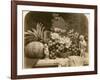 Still Life of Fruit with Mirror and Figurines, 1860-Roger Fenton-Framed Photographic Print