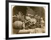 Still Life of Fruit with Mirror and Figurines, 1860-Roger Fenton-Framed Photographic Print