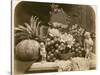 Still Life of Fruit with Mirror and Figurines, 1860-Roger Fenton-Stretched Canvas