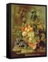 Still Life of Fruit-Johannes Hendrick Fredriks-Framed Stretched Canvas